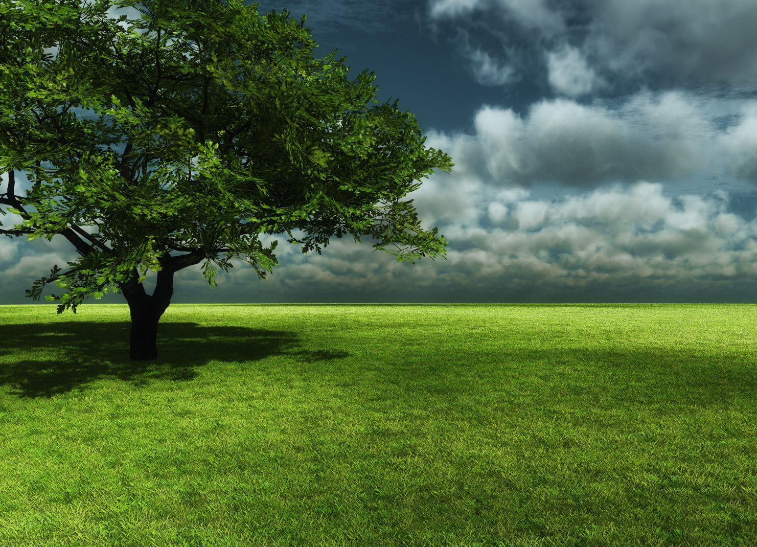 Третирано дърво и предупредителен знак